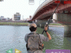 海钓天国,海钓天国小游戏