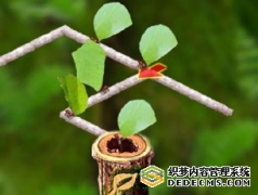 <b>勤劳的蚂蚁</b>