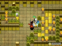 <b>骑士泡泡堂</b>
